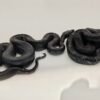 Black Devil Boa for sale