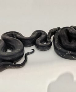 Black Devil Boa for sale