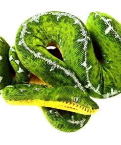 Amazon Basin Emerald Tree Boa