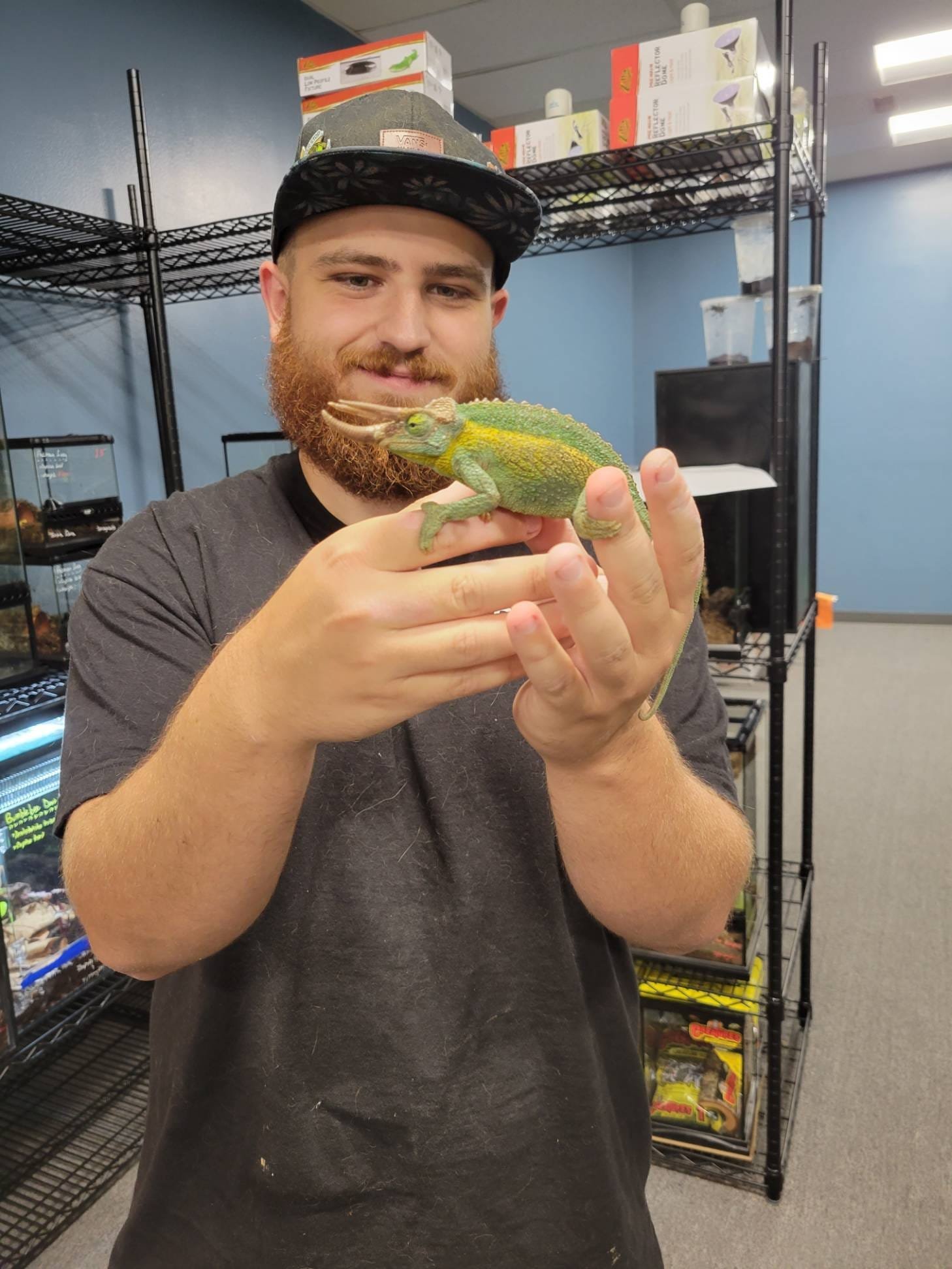 New york reptile store