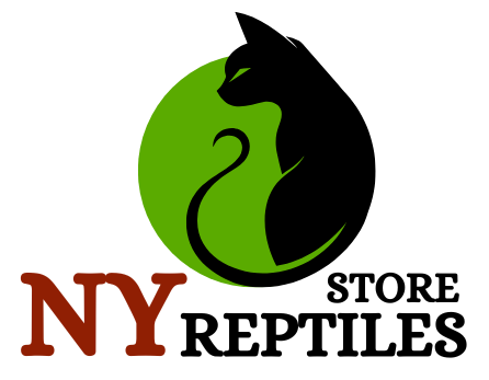 Buy Exotic Pets NY